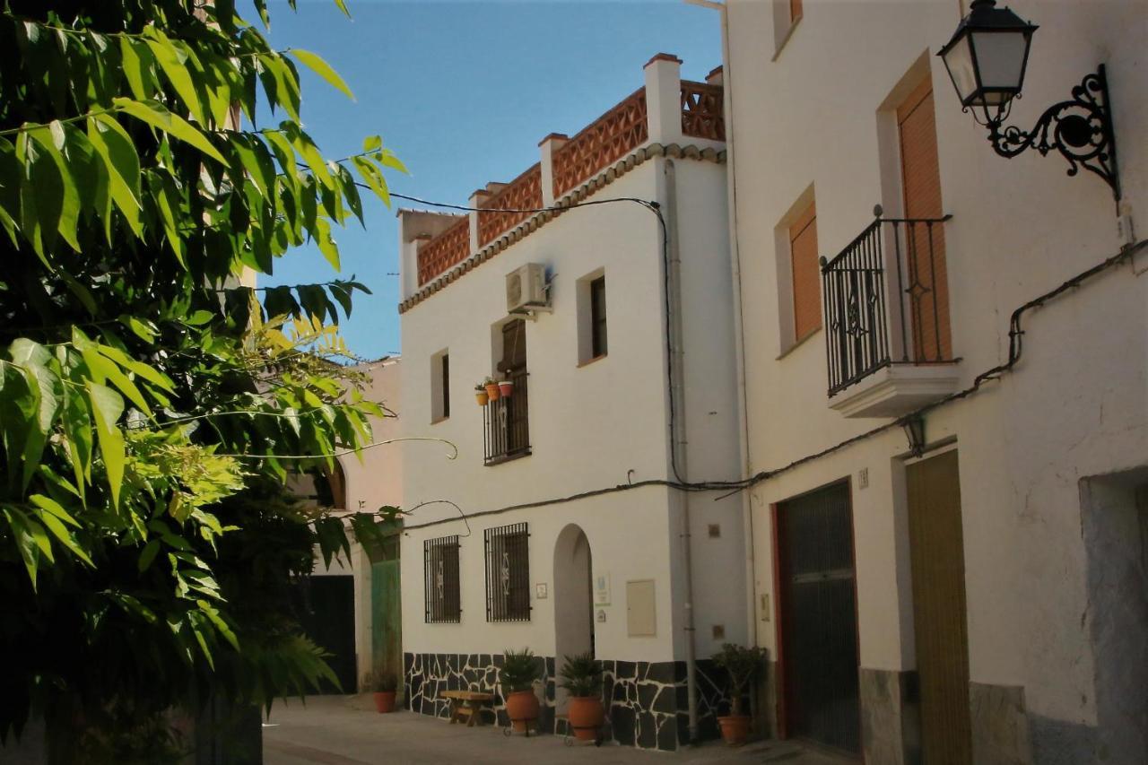 Bed and Breakfast Casa Del Patio Pinos del Valle Zewnętrze zdjęcie